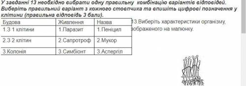 Вибрати правильну комбінацію відповідей