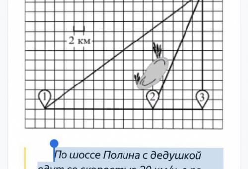 Полина летом отдыхает у дедушки в деревне Ясная. В четверг они собираются съездить на велосипедах в