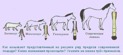 ЛЮДИ Определите направление эволюции на конкретных примерах. 1. возникнове