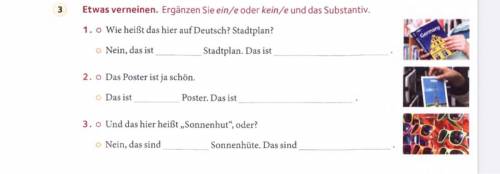 Ergänzen sie ein(e) order kein(e)