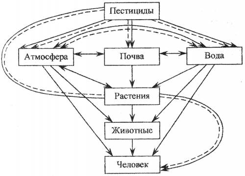 Объяснить схему представленную на фотографии!