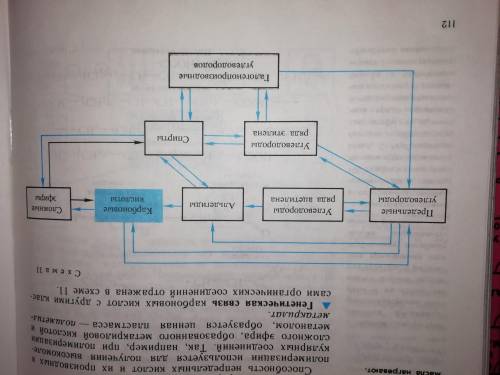 Химия практическая работа, в которой необходимо составить уравнения реакций согласно схеме.