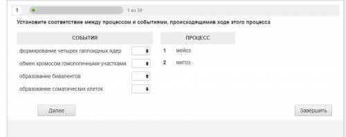 Биология установить соответствия 1.формирование четырех гаплоидных ядер 2.обмен хромосом гомологи