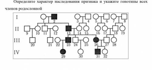 Определите характер наследования признака и укажите генотип всех членов родословной