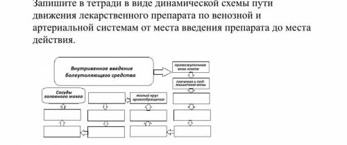 Запишите в тетради в виде динамической схемы пути движения лекарственного препарата по венозной и