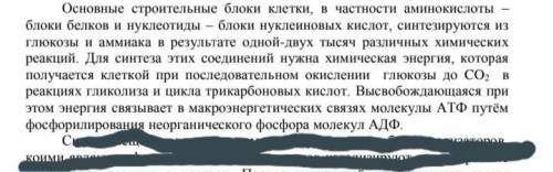 Как понять последнее предложение?