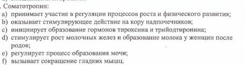 Соматотропин: a) принимает участие в регуляции процессов роста и физического развития; b) оказывает