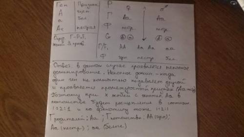 При скрещивании пестрой хохлатой (В) курицы с таким же петухом было получено восемь цыплят: четыре ц