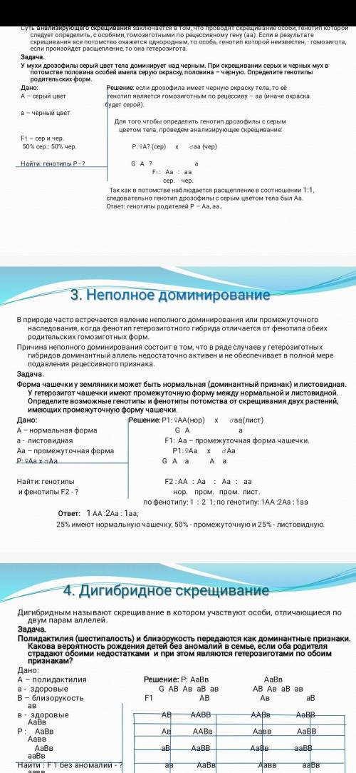 Определите, какие генотипы и фенотипы ночной красавицы по окраске цветов появятся при ее скрещивани