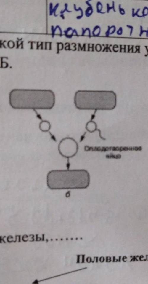 Что это за процесс? ​