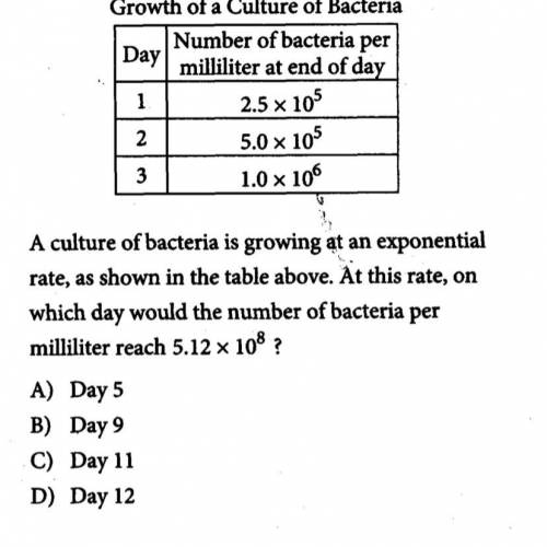 Культура бактерий растет экспоненциально, как показано в таблице выше. При такой скорости, в какой д