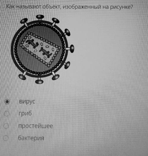 Как называют объект, изображенный на рисунке? Заранее объясните почему