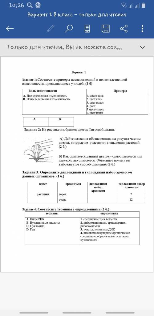 кто нибуть 1 и 3 задание