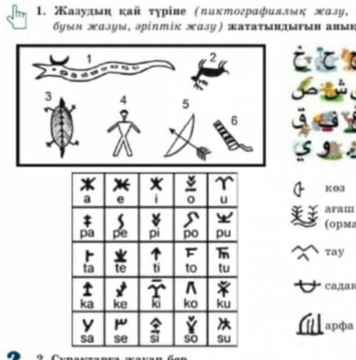 Сұрақтарға жауап бер. 1) Тасқа қашалып сызылған суреттерден қандай ақпарат алуға болады? 2) Буындық