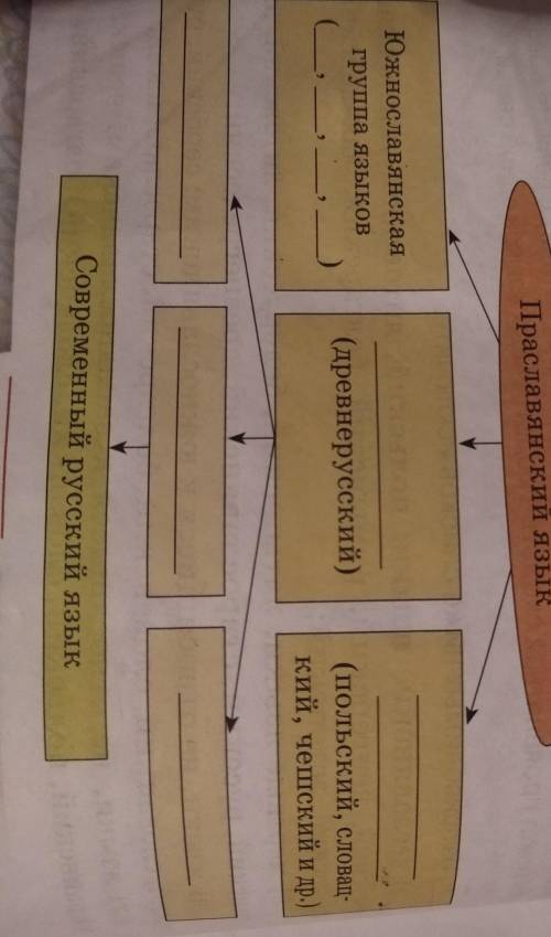 Русский язык Быстрова 8 класс 1 часть ​