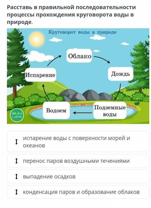 Расставь в правильной последовательности процессы прохождения круговорота воды в природе.​