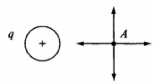 Какое направление имеет вектор E в точке А поля, если поле создано положительным зарядом q?