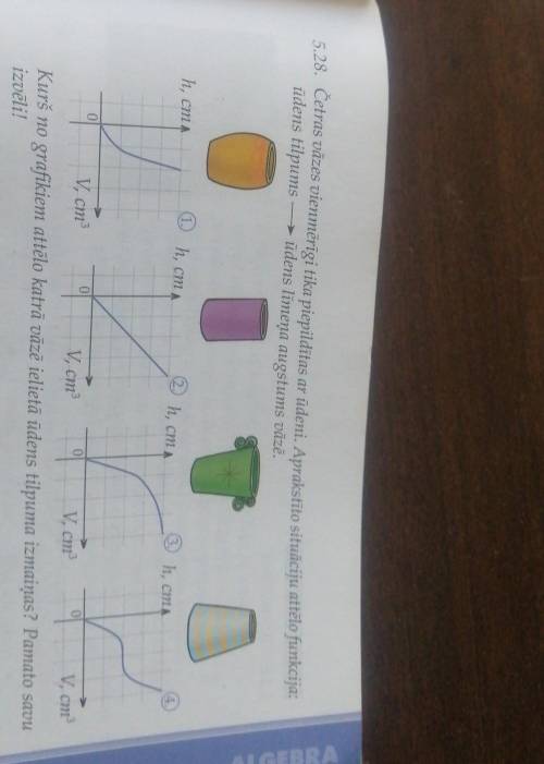 5.28. Četras vāzes vienmērīgi tika piepildītas ar ūdeni. Aprakstīto situāciju attēlo funkcija: ūdens