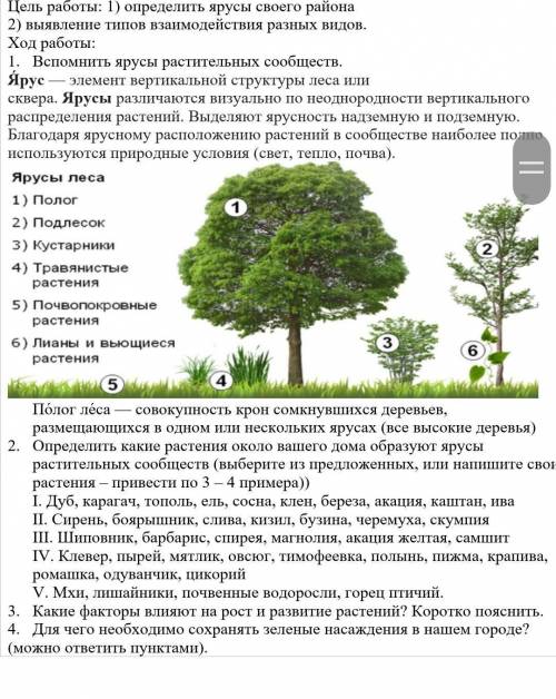 Что надо тут делать?ненадо за меня что-то делать просто объясните что надо тут зделать​