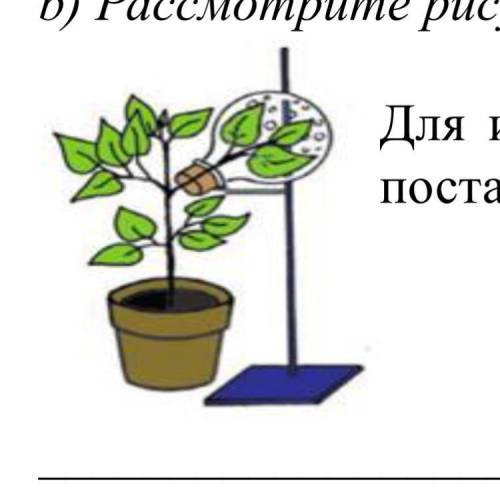 B) Рассмотрите рисунок и ответе на вопрос. Для изучения, какого процесса был поставлен данный опыт?