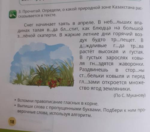 Выпишите слова с пропущеннным буквами.Подбери к ним проверочные слова,используя алгоритм.​