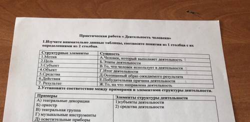 решить практическую работу «Деятельность человека»