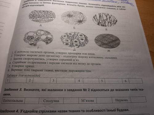 Мне нужно сделать задание 2,3,6.