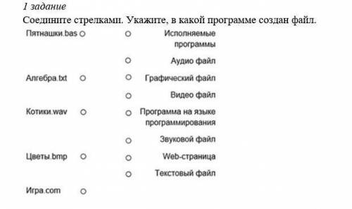 Кто шарит В информатике