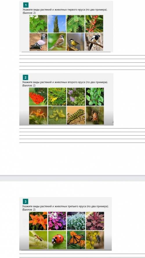 Укажите виды растений и животных первого яруса (по два примера). ( 280Укажите виды растений и животн
