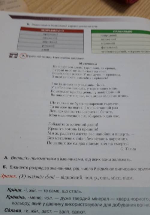 Випишіть прикметники з іменниками, від яких вони залежать.​