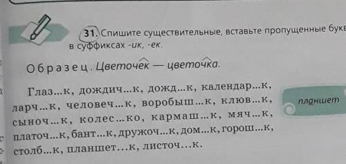 Спишите существительные, вставляя пропущенные буквы буквы в суффиксах -ик, -ек (напишите по примеру