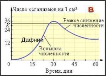 Как называется такая кривая роста популяции. Объясните возможные причины такого развития популяции.​