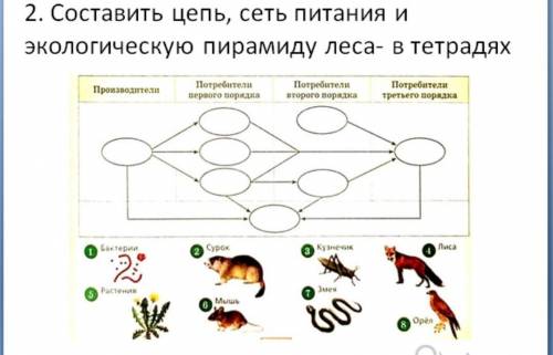 Составить цепь биология​