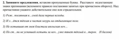 Запешите предложения вставляя пропущенные буквы. ​