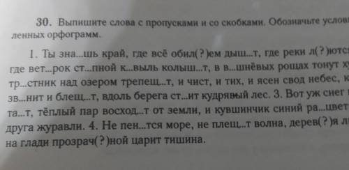 Нужно выписать слова с пропусками и со скобками. ВОБЩЕМ ТАМ ВСЕ НАПИСАНО заранее блогодорю❤️​