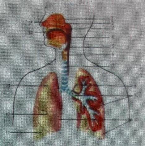 Сделайте обозначения​