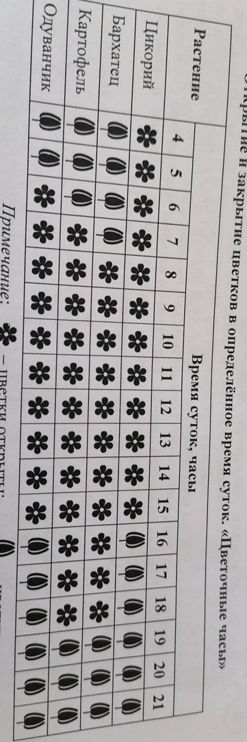 Цветки какого растения из перечисленных в таблице распускаются позже остальных​