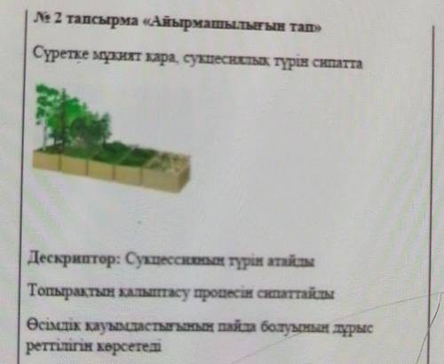 № 2 тапсырма «Айырмашылығын тап» , сукцесиялық түрін сипаттаДескриптор: Сукцессияның түрін атайдыТоп