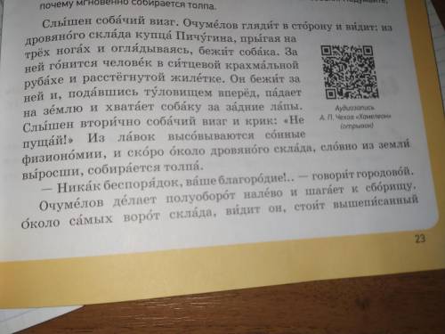 1) Что наблюдает Очумелов? Какая картина разворачивается перед ним? 2) Почему городовой обращается к