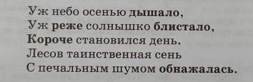 Напишите мини-сочинение опираясь на текст. 30-50 слов. ​​