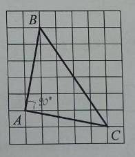 на клетчатой бумаге с размером клетки 1×1 нарисован треугольник ABC. Найдите сумму углов ABC и АСВ.