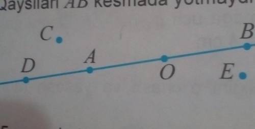 14 rasmdagi tasvirlagan nuqtalarning qaysilari AB toʻgʻri chiziqda yotadi?Qaysilari AB kesmada yotma