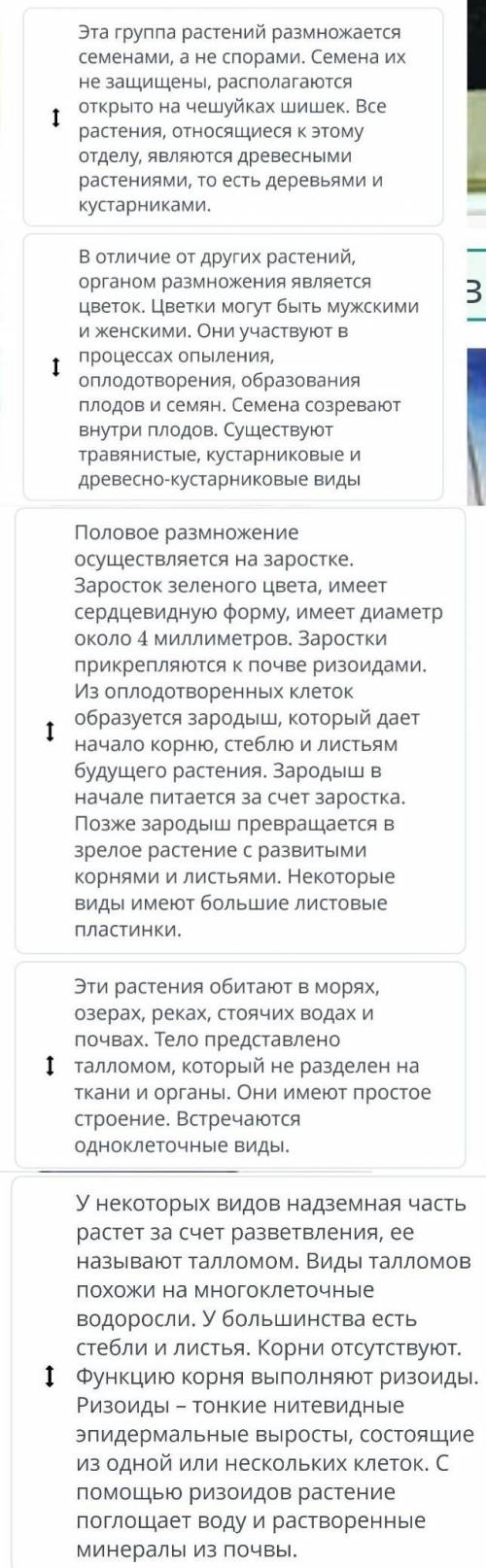 ( )Определи возникающие в процессе эволюции усложнения в организации отделов растений и расположи их