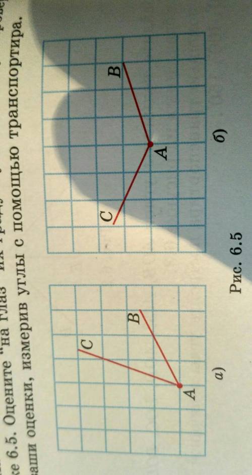 на клетчатой бумаге изобразите углы,как показано на рисунке 6.5.Оцените на глаз их градусную величин
