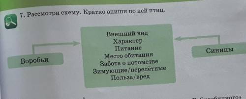 Рассмотри схему кратко Опиши парень птиц воробьи внешний вид характер питания место обитания забота