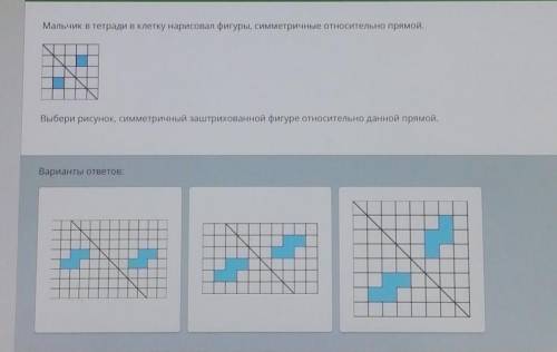 Мальчик в тетради в клетку нарисовал фигуры, симметричные относительно прямой. Выбери рисунок, симме