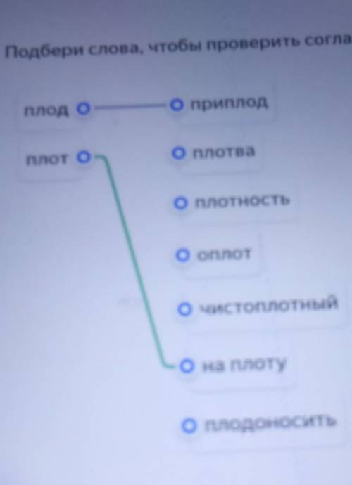 какое проверочное слово к слову плод?​