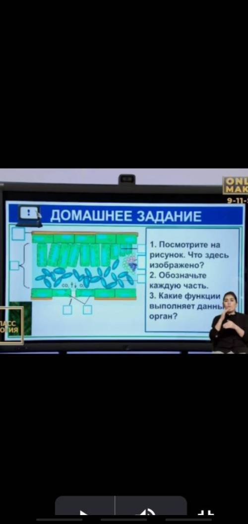 1.Посмотрите на рисунок.Что здесь изображено? 2.Обозначьте каждую часть. 3.Какие функции выполняет д