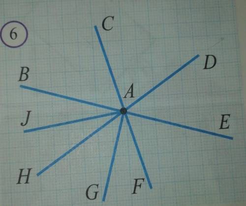 Сколько лучей на рисунке 6​