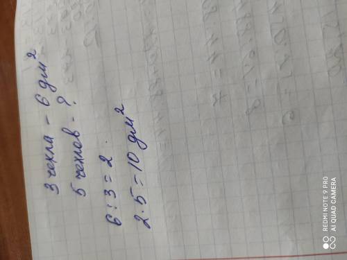 4. На 3 одинаковых чехла для смартфона расходуют 6 дм2 кожи. Сколько квадратных дециметров кожипотре